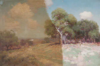 Landscape During Treatment